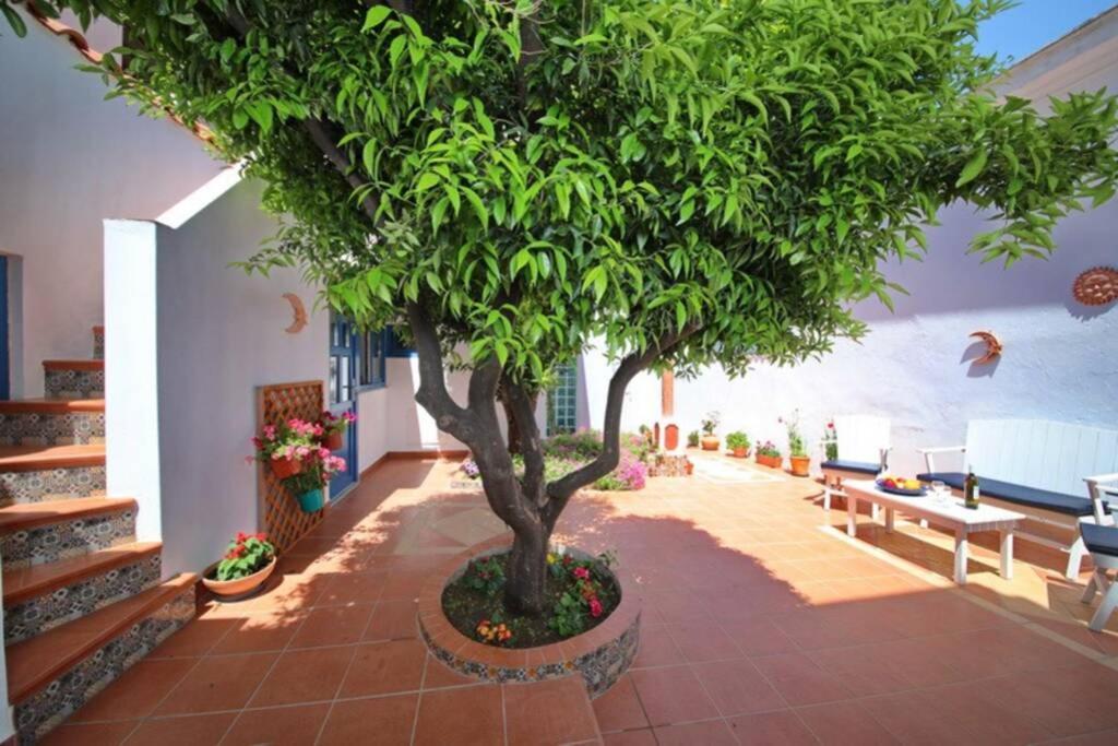 Philoxenia Guest House Σκόπελος Εξωτερικό φωτογραφία