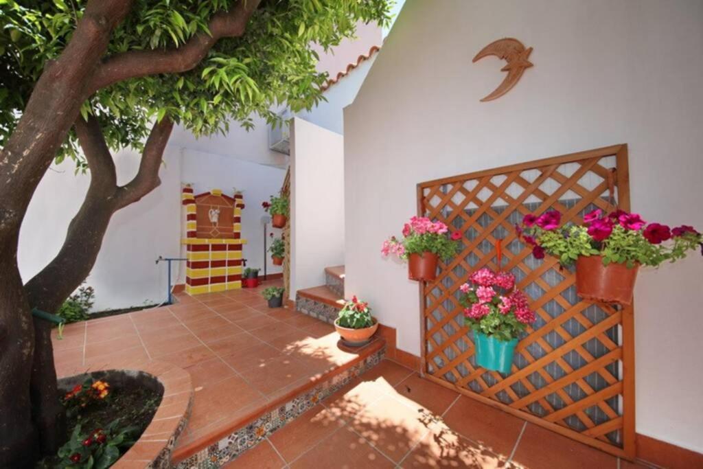 Philoxenia Guest House Σκόπελος Εξωτερικό φωτογραφία